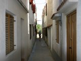 IMG_7273.JPG