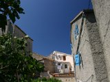 IMG_7278.JPG
