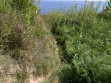 IMG_7283.JPG