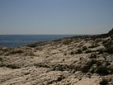IMG_7297.JPG