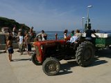 IMG_7346.JPG