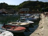 IMG_7352.JPG