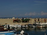 IMG_7354.JPG