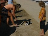 IMG_7358.JPG