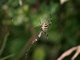 IMG_7551.JPG