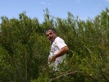 IMG_7564.JPG