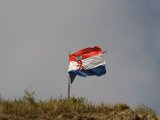 IMG_7650.JPG