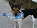 IMG_7672.JPG