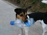 IMG_7673.JPG