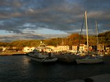 IMG_7837.JPG