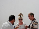 kreuzfahrt 0786.jpg