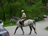 Hautzendorf2006 021.JPG