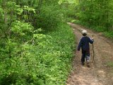 Hautzendorf2006 029.JPG