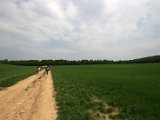 Hautzendorf2006 032.JPG