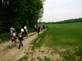 Hautzendorf2006 035.JPG