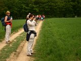 Hautzendorf2006 038.JPG