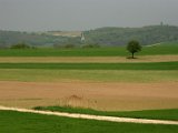 Hautzendorf2006 148.JPG