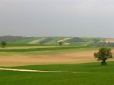 Hautzendorf2006 149.JPG