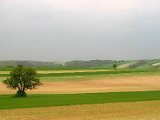Hautzendorf2006 150.JPG