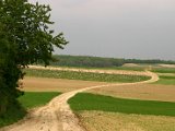 Hautzendorf2006 151.JPG