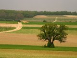 Hautzendorf2006 152.JPG