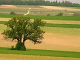 Hautzendorf2006 154.JPG