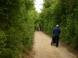 Hautzendorf2006 160.JPG