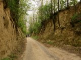 Hautzendorf2006 161.JPG