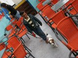 835_3543.JPG