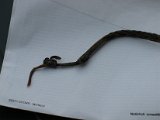 IMG_0193.JPG