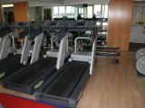 IMG_1502.JPG