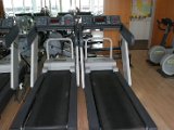 IMG_1513.JPG