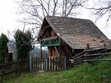 IMG_5822.jpg