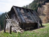 IMG_5826.jpg
