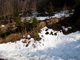 IMG_5843.jpg
