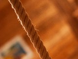 IMG_5896.jpg