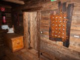 IMG_5942.jpg
