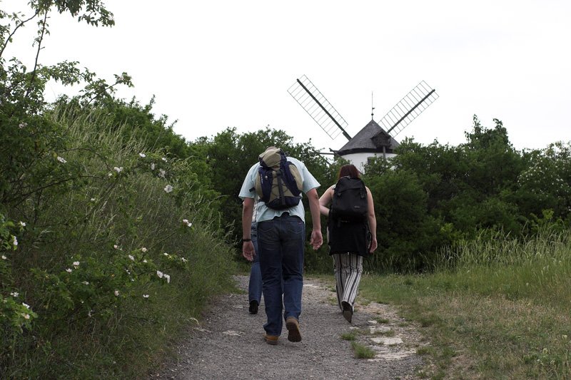 CRW_3558-01