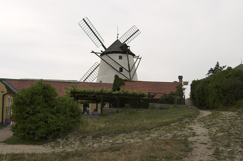 CRW_3562-01