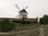 CRW_3562-01.jpg
