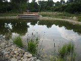 IMG_0499.JPG