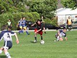 IMG_0165-01.jpg