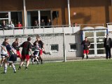 IMG_0209-01.jpg