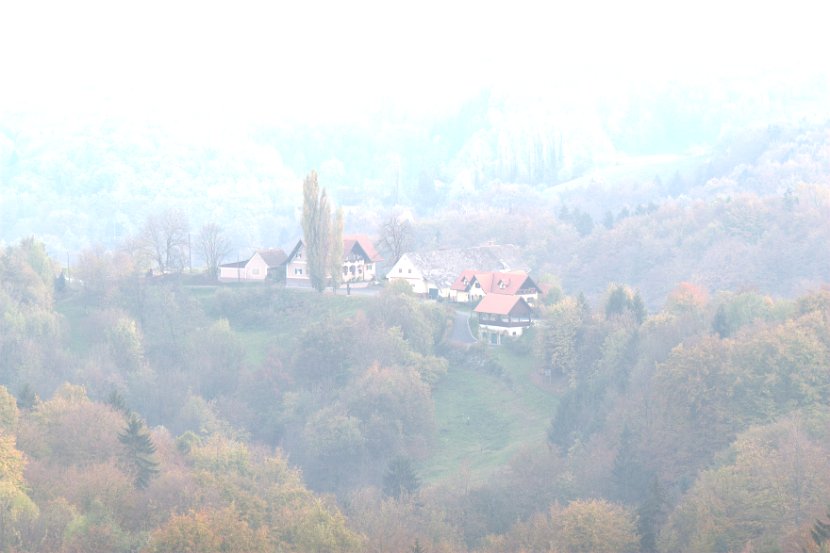 IMG_6604