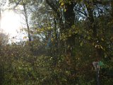 IMG_6516.CR2