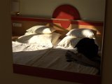 IMG_6521.CR2