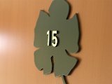 IMG_6525.CR2