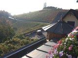 IMG_6532.CR2