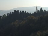 IMG_6541.CR2