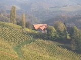 IMG_6547.CR2